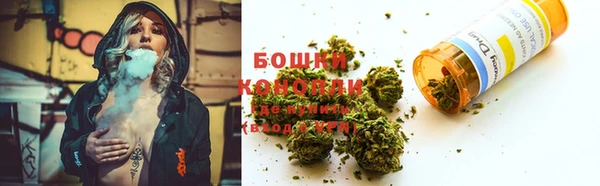 Альфа ПВП Белокуриха