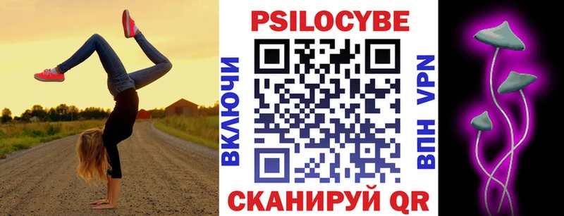 Галлюциногенные грибы Psilocybe  Буйнакск 